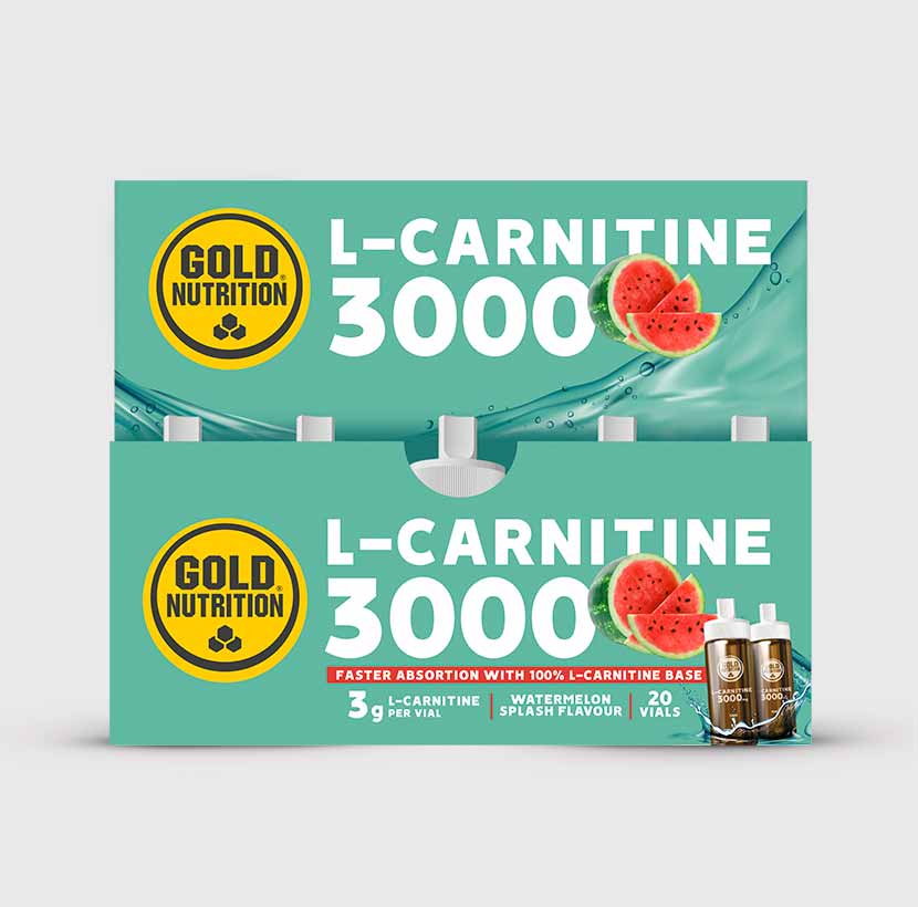 L-CARNITINE 3000